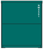 40CS-50 TGE Green 40' Curtain Sided Containers